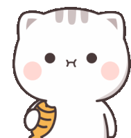gato fijo derecha